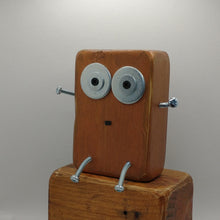 Load image into Gallery viewer, Denise Conga - Big Scraplet