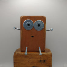 Load image into Gallery viewer, Denise Conga - Big Scraplet