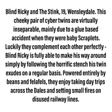 Load image into Gallery viewer, Blind Ricky and The Stink - Small Scraplets