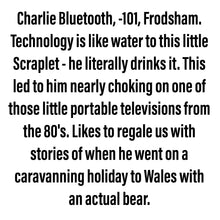 Load image into Gallery viewer, Charlie Bluetooth - Robo Scraplet