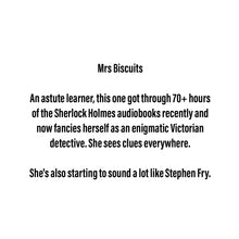 Load image into Gallery viewer, Mrs Biscuits - Jurassic Scraplet