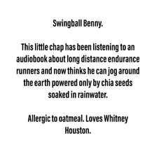 Load image into Gallery viewer, Swingball Benny - Jurassic Scraplet