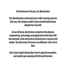 Load image into Gallery viewer, The Electronic Princess - Medium Scraplet