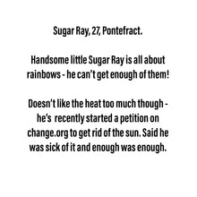 Load image into Gallery viewer, Sugar Ray - Small Scraplet (New)