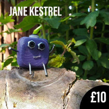 Load image into Gallery viewer, Jane Kestrel - Small Scraplet