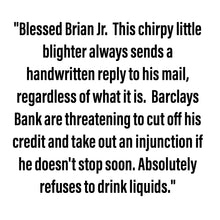Load image into Gallery viewer, Blessed Brian Jr. - Small Scraplet - New Limited Edition