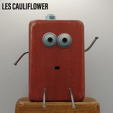 Load image into Gallery viewer, Les Cauliflower - Big Scraplet
