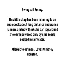 Load image into Gallery viewer, Swingball Benny - Jurassic Scraplet
