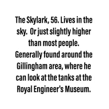 Load image into Gallery viewer, The Skylark - Small Scraplet

