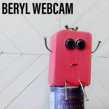 Load image into Gallery viewer, Beryl Webcam - Medium Scraplet
