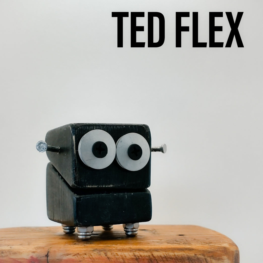 Ted Flex - Robo Scraplet