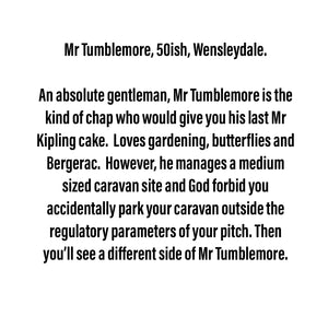 Mr Tumblemore - Medium Scraplet - Limited Edition - New