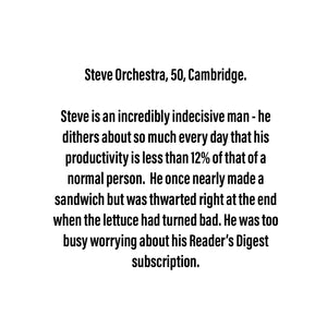 Steve Orchestra - Big Scraplet