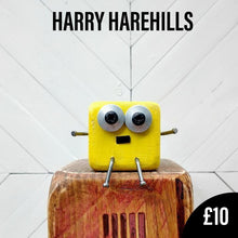 Load image into Gallery viewer, Harry Harehills - Small Scraplet

