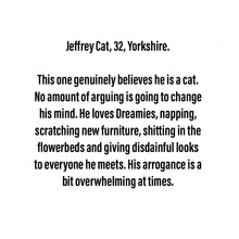 Load image into Gallery viewer, Jeffrey Cat - New Medium Scraplet - Limited Edition

