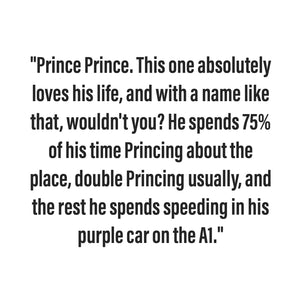 Prince Prince - Small Scraplet - New Limited Edition
